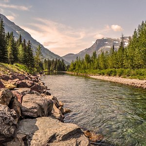 Customer Review   Testimonial 32