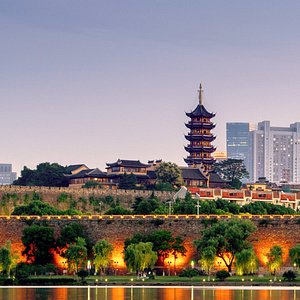 Customer Review   Testimonial 34