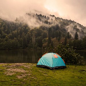 Customer Review   Testimonial 17