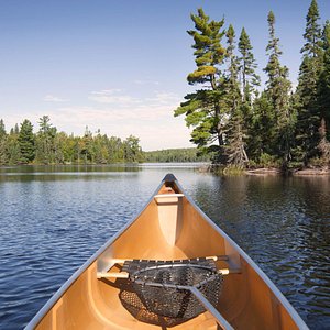 Customer Review   Testimonial 24