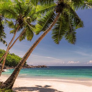 Customer Review   Testimonial 9