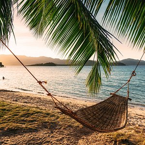 Customer Review   Testimonial 21