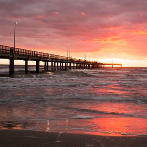 Customer Review   Testimonial 26