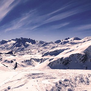 Customer Review   Testimonial 36