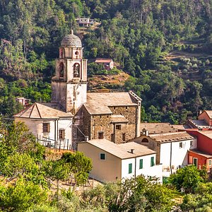 Customer Review   Testimonial 23