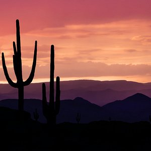 Customer Review   Testimonial 10