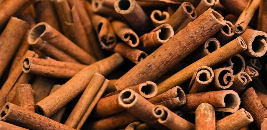 DIY perfume workshop scent perfume NOTE   The Scent Lab Autumn Sen Cinnamon Oakmoss