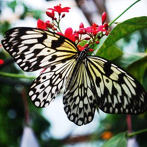 Customer Review Testimonial 4 Perfume Workshop by NOTE The Scent Lab Customer Review Testimonial 4