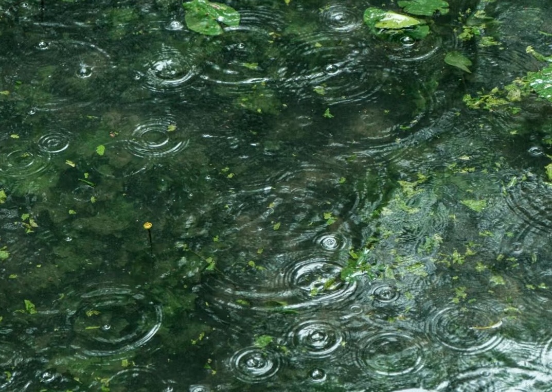 A glance through the rainy scent Perfume Workshop by NOTE The Scent Lab A glance through the rainy scent