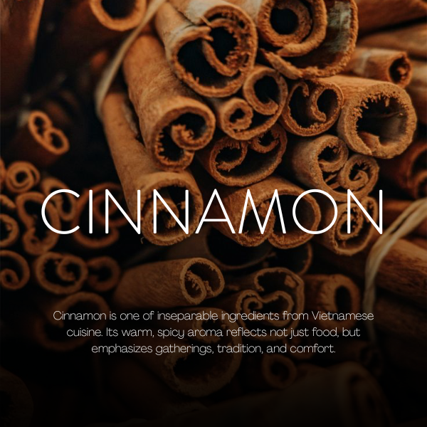 Cinnamon   Fragrance making class in Vietnam