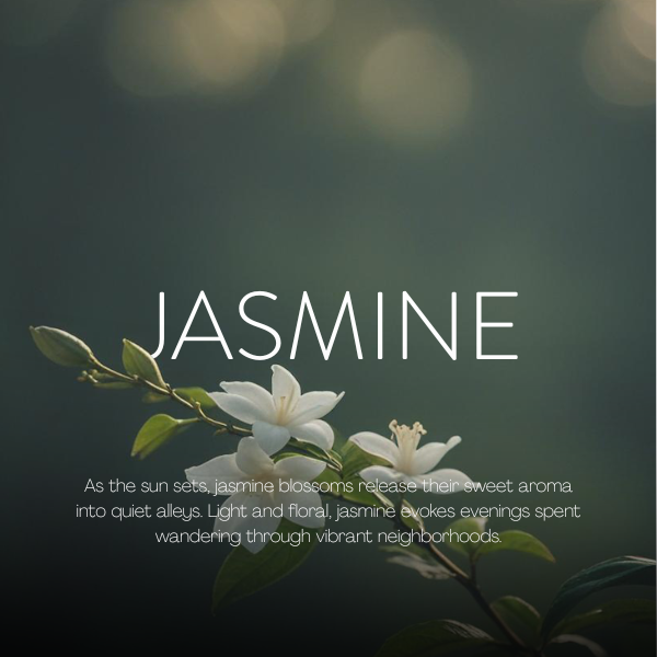 Jasmine   Fragrance making class in Vietnam