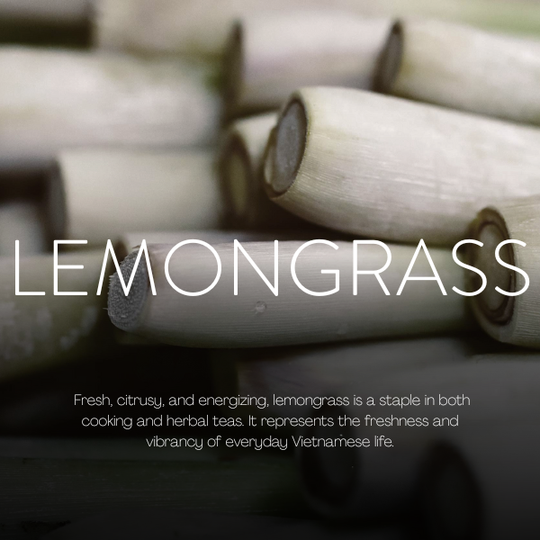 Lemongrass   Fragrance making class in Vietnam