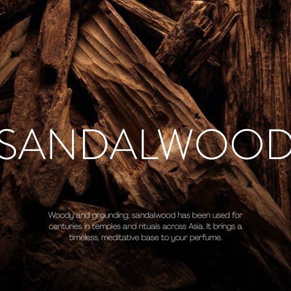 Sandalwood   Fragrance making class in Vietnam