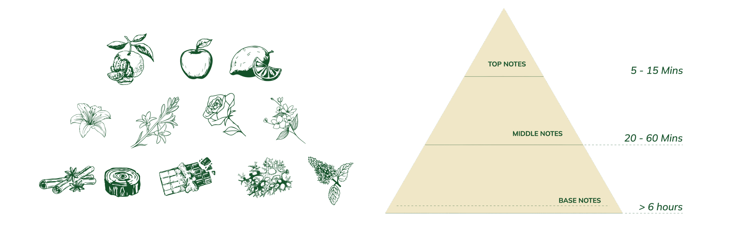 Fragrance pyramid   NOTE Fragrance making class in Vietnam