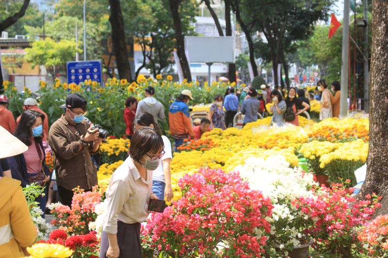Hanoi flower markets during Tet