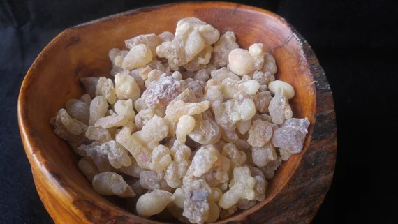 Boswellia sacra