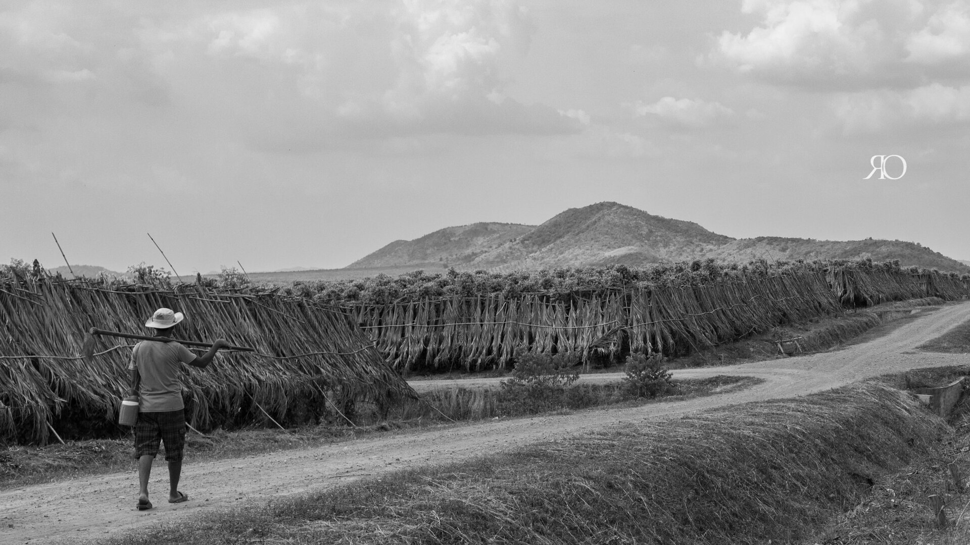 Kampot pepper farm Cambodia  destination scenery for NOTE The Scent Lab