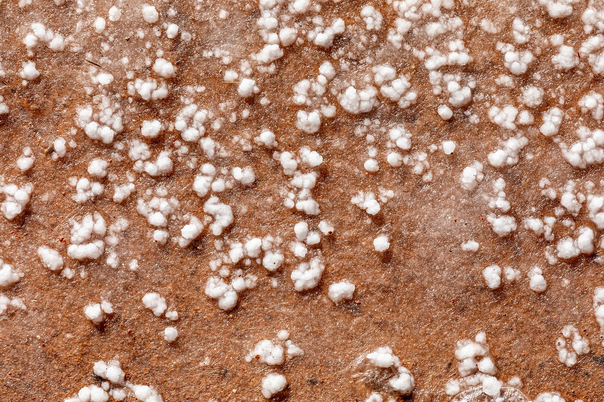Vietnamese sea salt evaporation field  destination scenery for NOTE The Scent Lab
