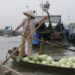 Cai Rang floating market Can Tho Vietnam  featured image for NOTE The Scent Lab destination guide