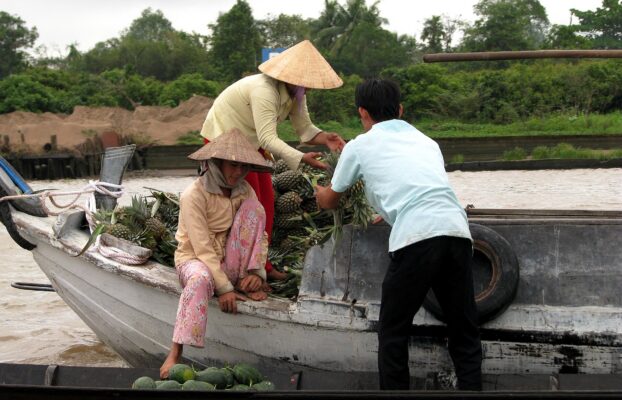 Mekong Delta Vietnam fruit orchard  featured image for NOTE The Scent Lab destination guide  can tho tropical fruit