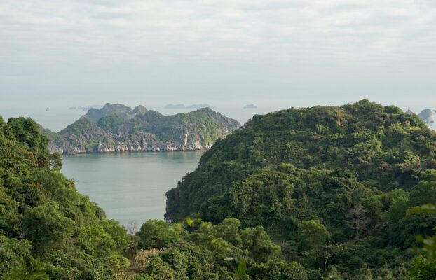 Cat Ba Island Vietnam  featured image for NOTE The Scent Lab destination guide