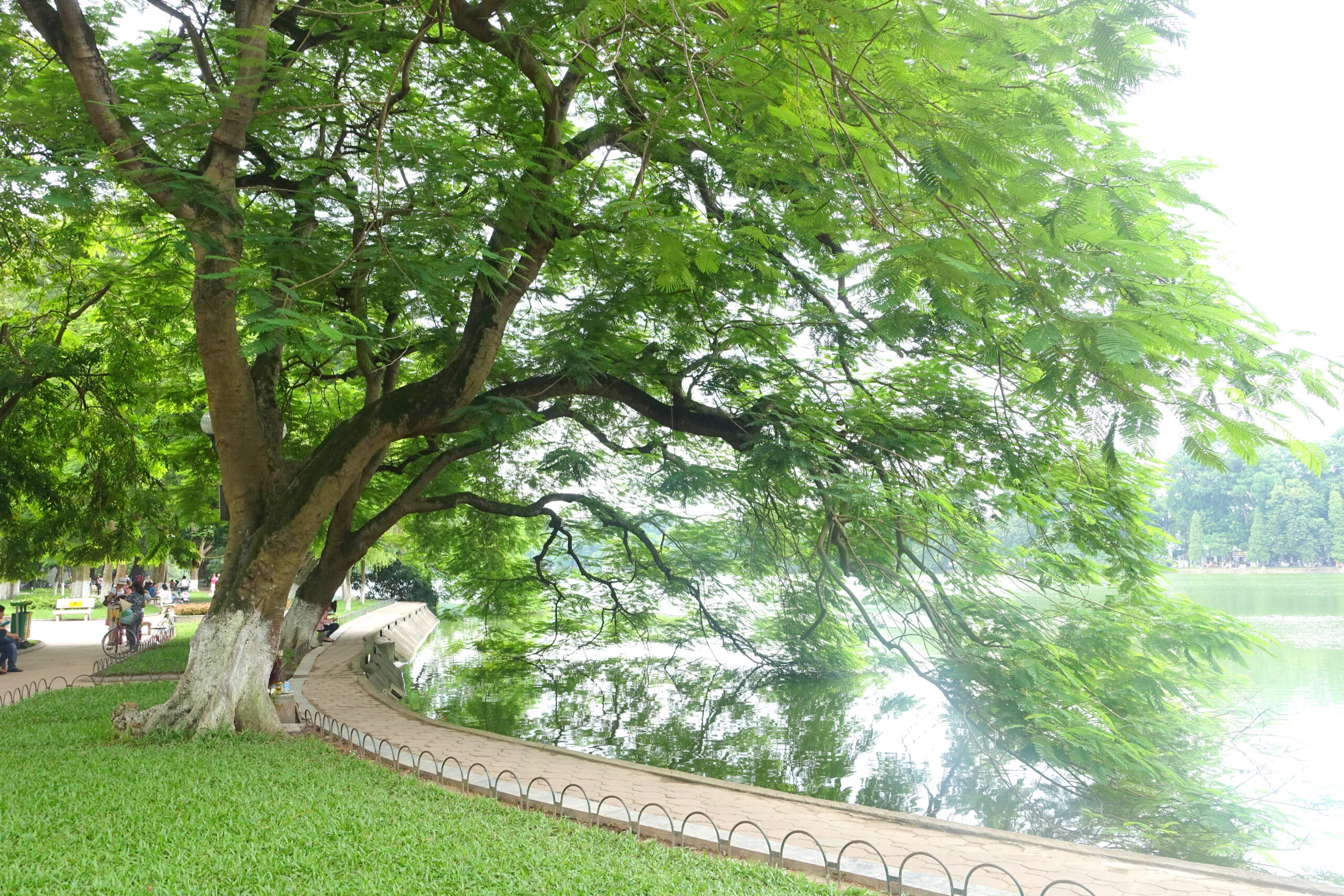 Hoan Kiem Lake, an iconic Hanoi attraction at the heart of the Old Quarter