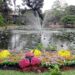 Lotus Island in Saigon Vietnam  a Vietnamese landscape with lotus pond representing the scent of Vietnam regional guide