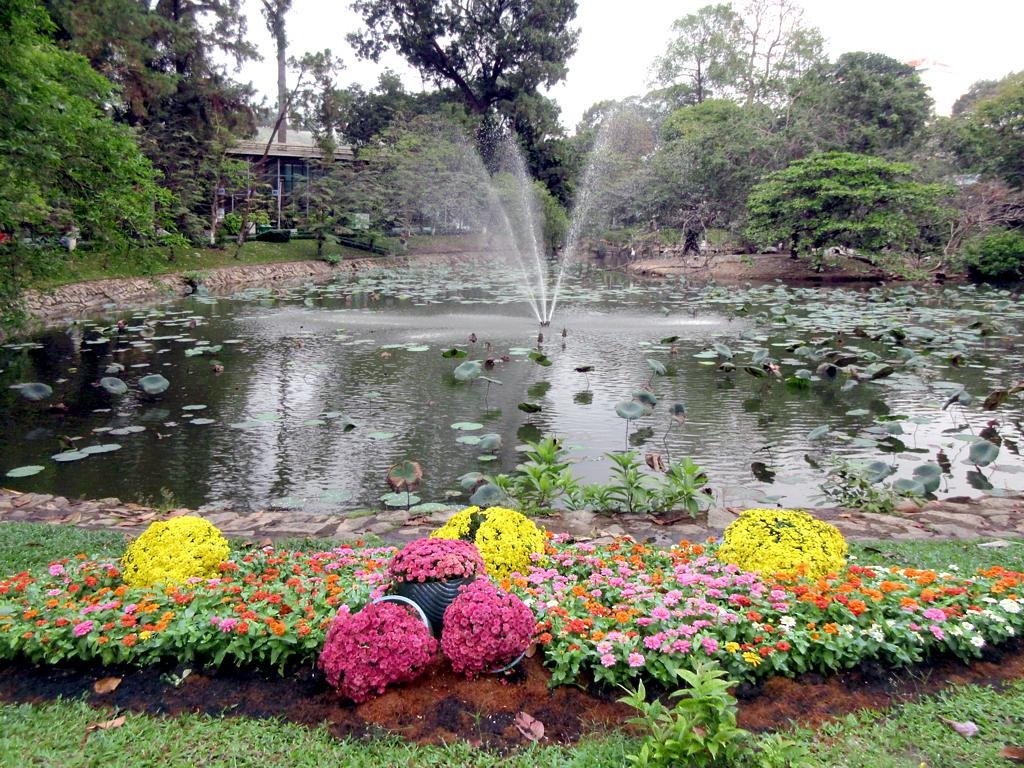 Lotus Island in Saigon Vietnam  a Vietnamese landscape with lotus pond representing the scent of Vietnam regional guide