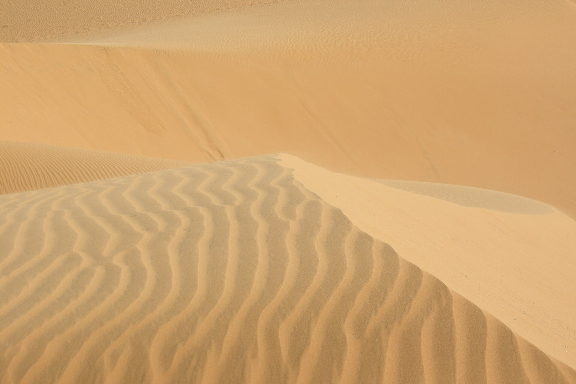 Mui Ne Vietnam sand dunes  featured image for NOTE The Scent Lab destination guide  mui ne sand dunes