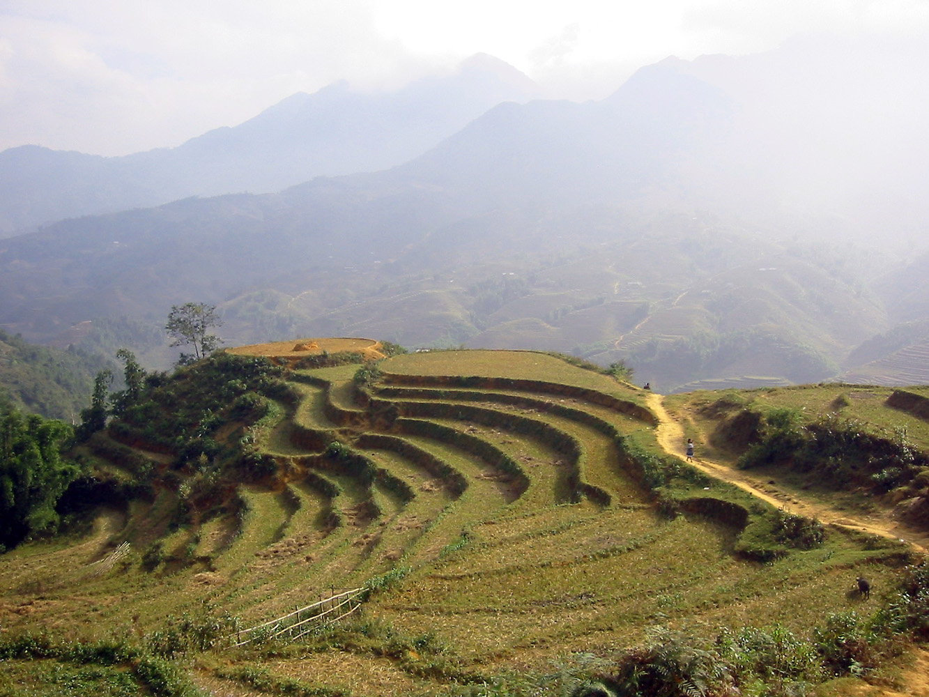 Sa Pa Vietnam mountains landscape  featured image for NOTE The Scent Lab destination guide  sa pa to hanoi